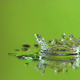 Illustration for article titled Shooting Challenge: Water Drop Gallery Part 1